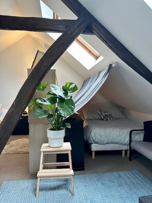 Apartment Le Belly - Fontainebleau
